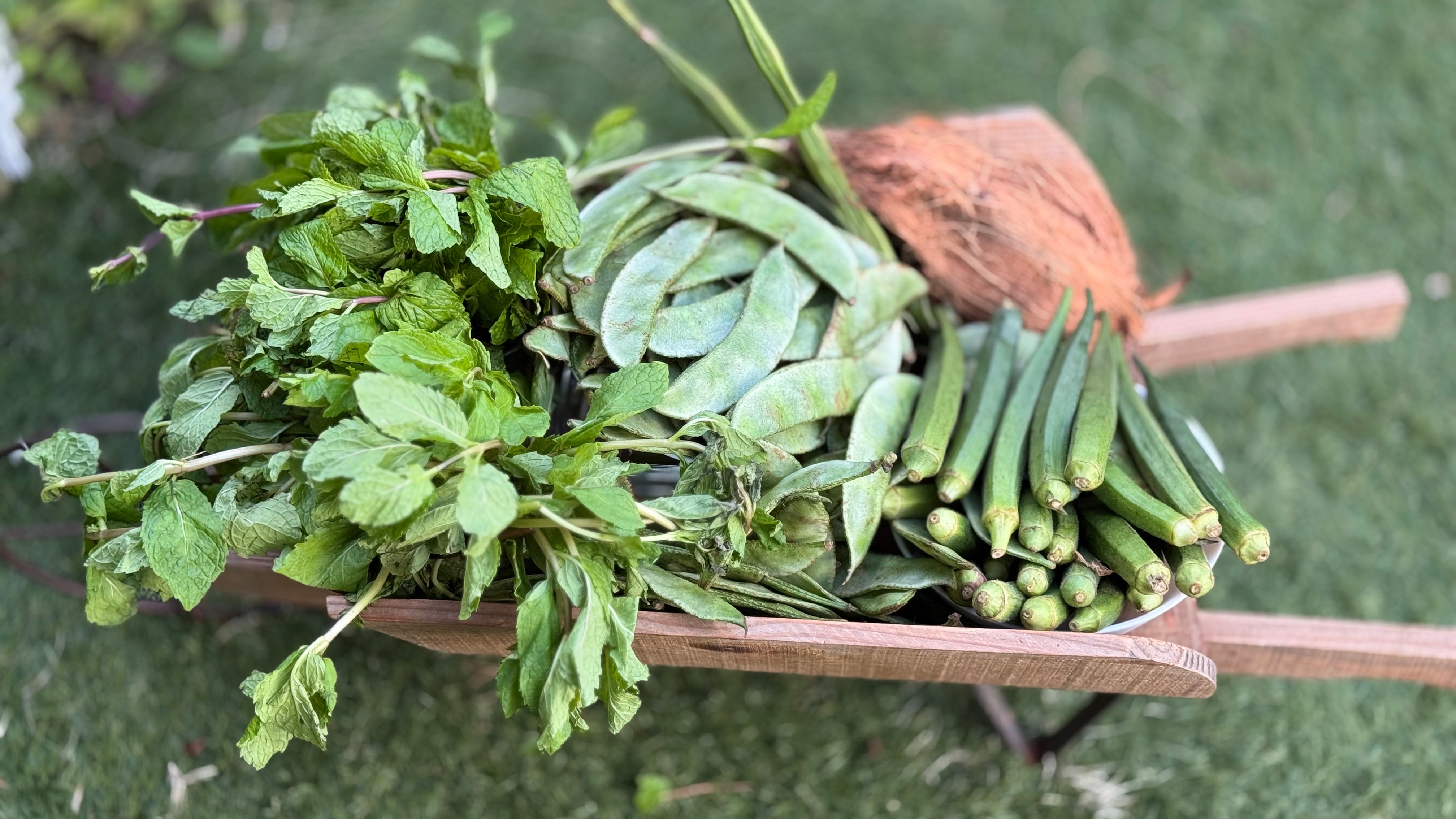 Fresh Vegetables and fruits | Sattva online grocery store